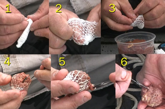 Making Fish Bait With Liver | Life of Fishing